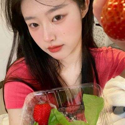 sd姬甲官方下载